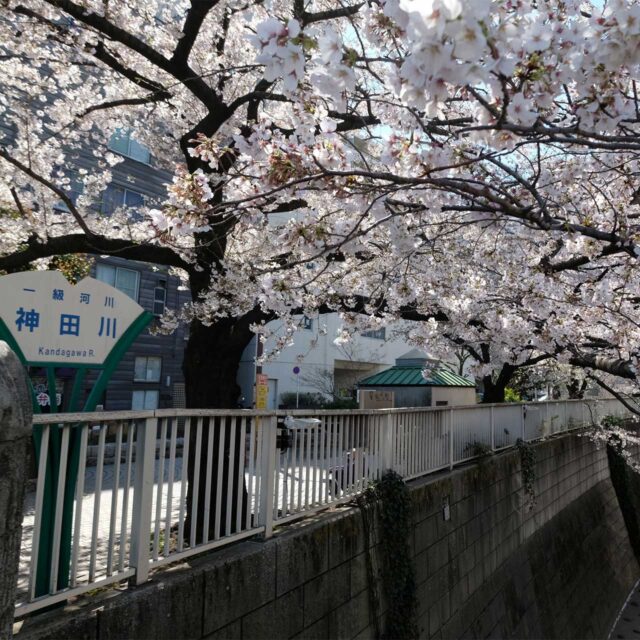 神田川